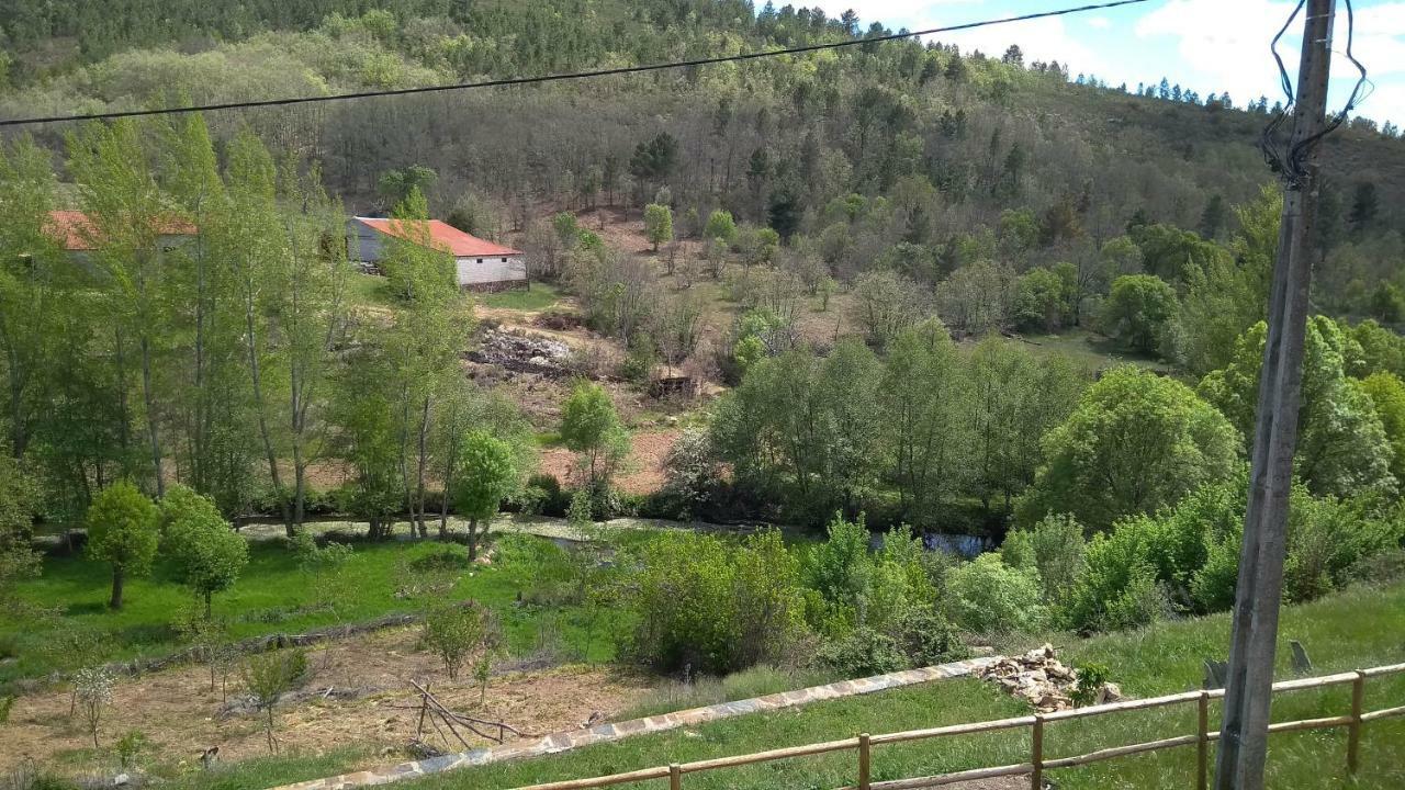 Serapicos House Bragança Εξωτερικό φωτογραφία